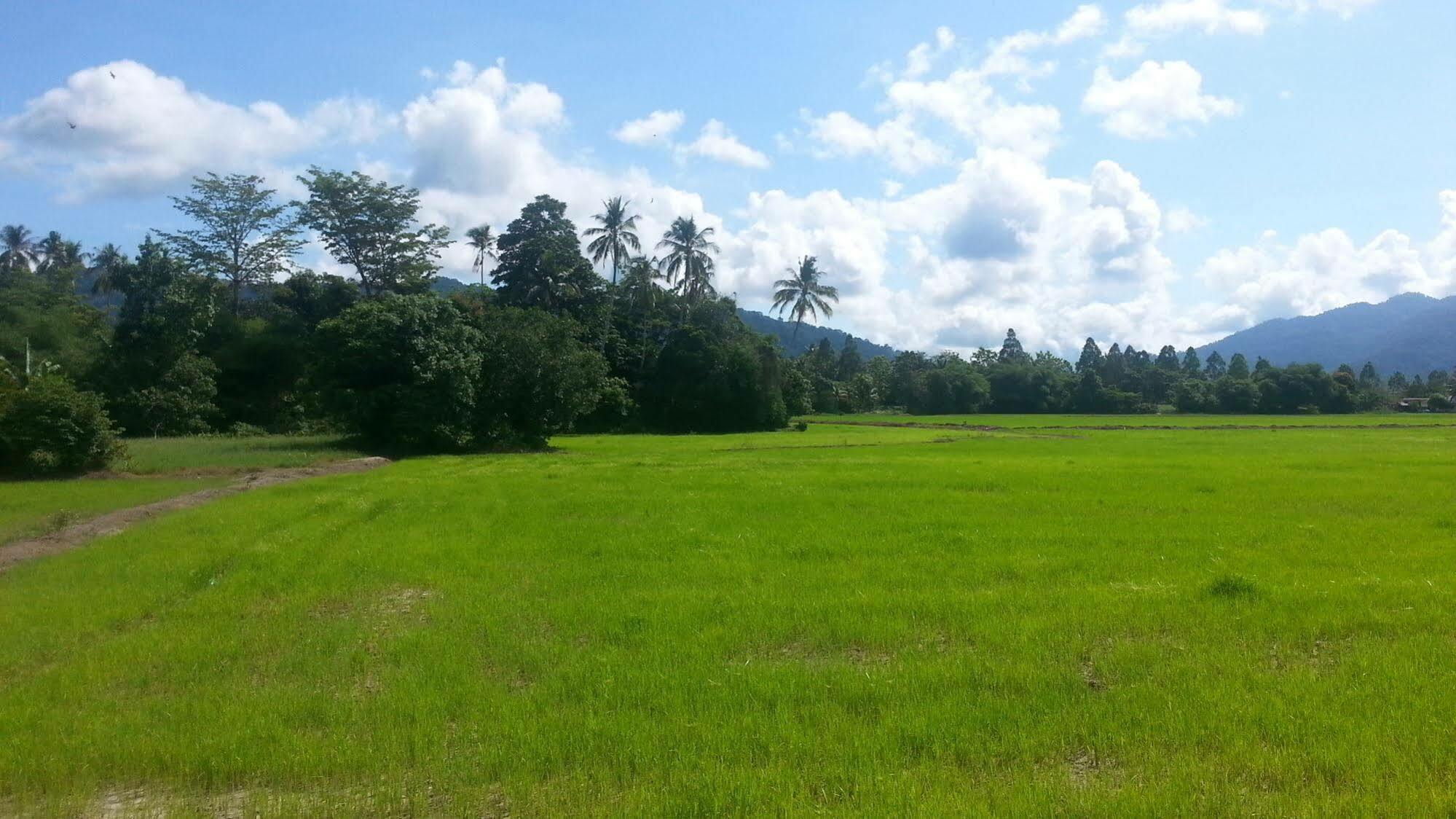 Oyo 275 Senyum Inn Pantai Cenang  Exteriör bild